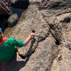 Meet your Posher, Jacob